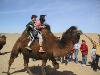 Aaron and Akemi on a camel
